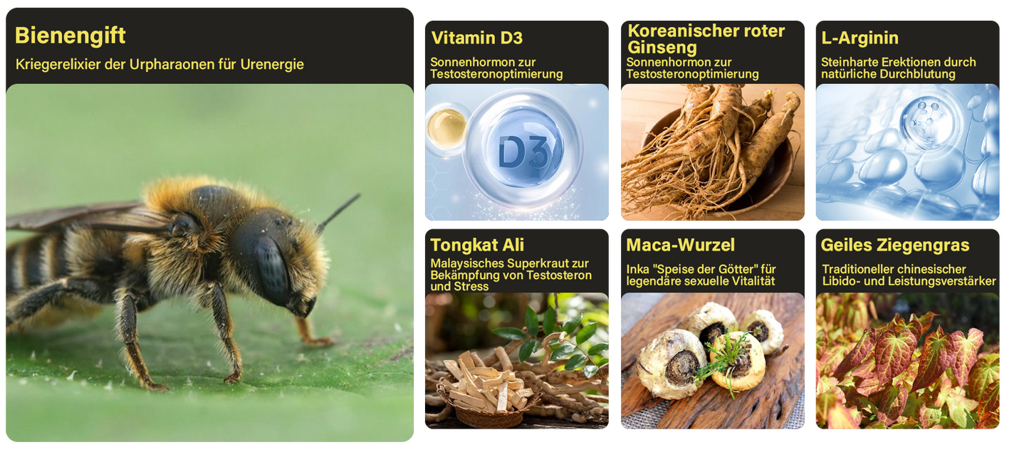 Lotmay® Biene VenomX DualIgnite Leistungssystem PRO