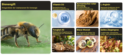 Lotmay® Biene VenomX DualIgnite Leistungssystem